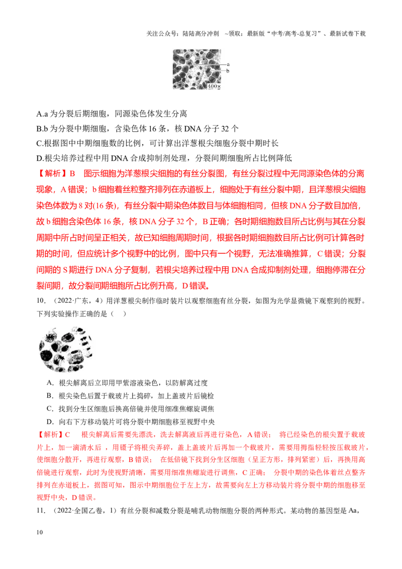 《专题03细胞生命历程相关实验包括减数分裂（教师版）_06-生物-高考总复习_专项复习_2025年_2025年高考生物教材实验梳理与突破_资料》第10页预览
