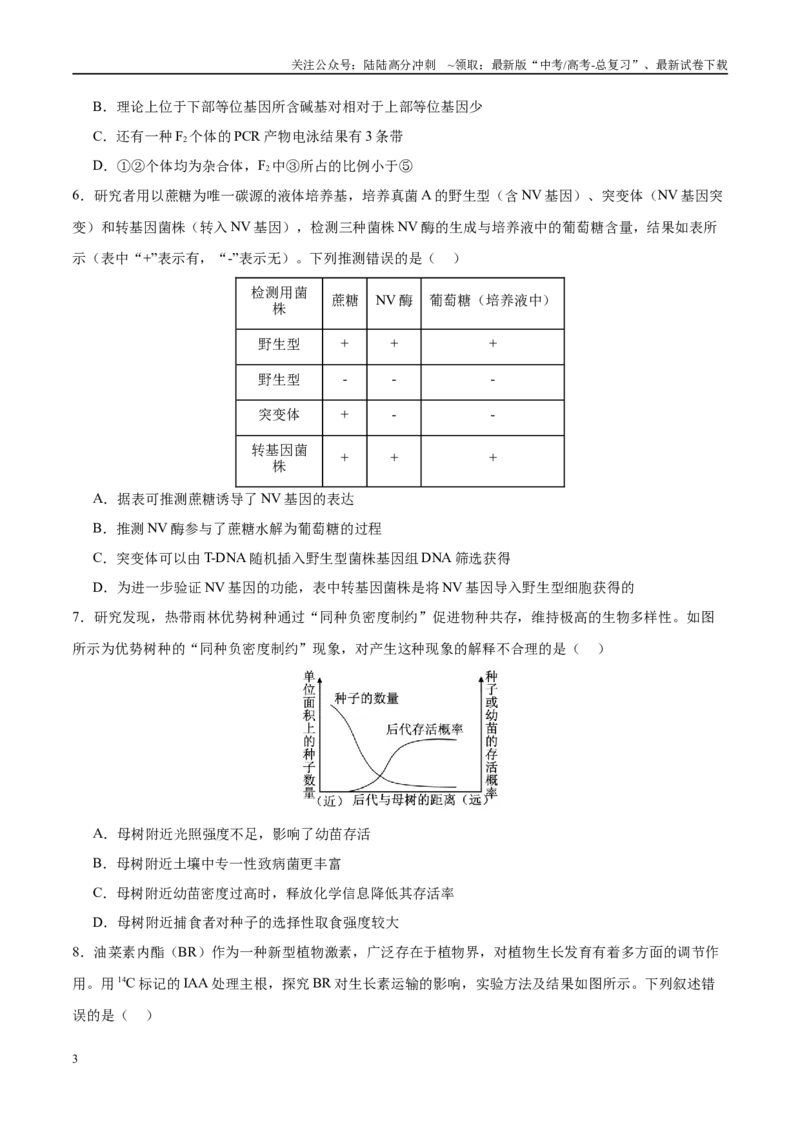 《模拟卷07（福建专用）（考试版）_06-生物-高考总复习_专项复习_2025年_2025年高考生物模拟卷（福建专用）8套》第3页预览