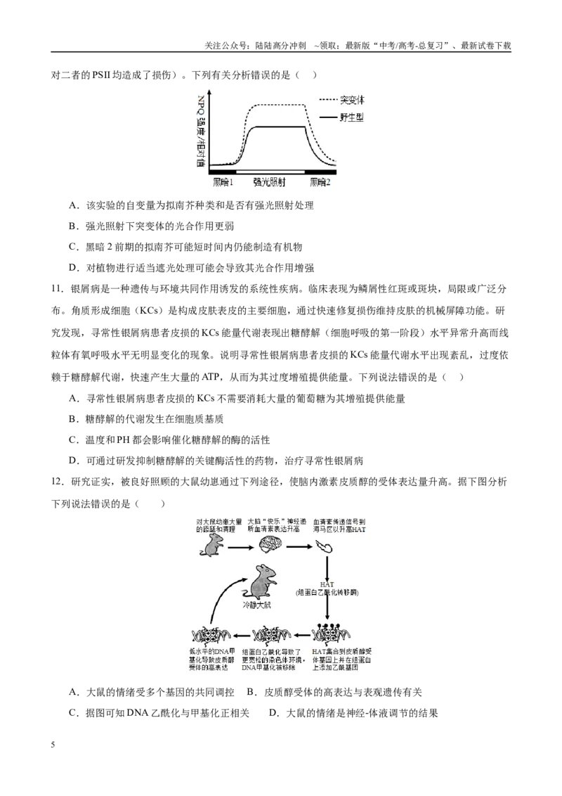 《模拟卷07（福建专用）（考试版）_06-生物-高考总复习_专项复习_2025年_2025年高考生物模拟卷（福建专用）8套》第5页预览