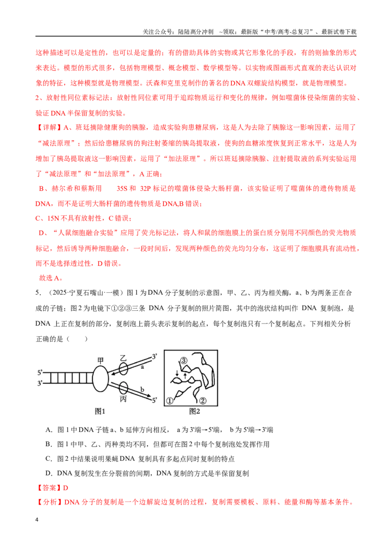 《猜押05遗传的分子基础、变异和进化（教师版）_06-生物-高考总复习_专项复习_2025年_2025年高考生物抢押秘籍（陕西、山西、宁夏、青海专用）》第4页预览