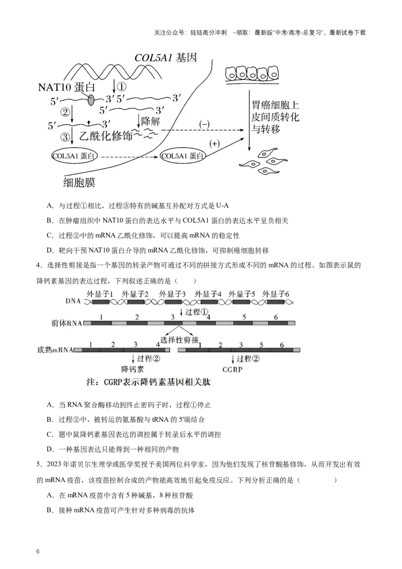 《热点052023年诺贝尔生理学或医学奖-（原卷版）_06-生物-高考总复习_专项复习_2024年_2024年高考生物热点情境解读与知识链接8份_资料_1-资料》第6页预览