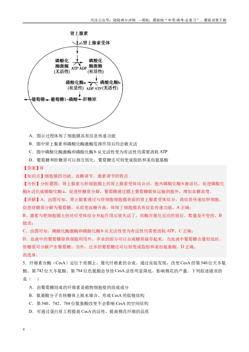 《生物-（黑吉辽蒙专用）（教师版）(1)_06-生物-高考总复习_专项复习_2025年_2025年高考终极押题猜想生物》第4页预览
