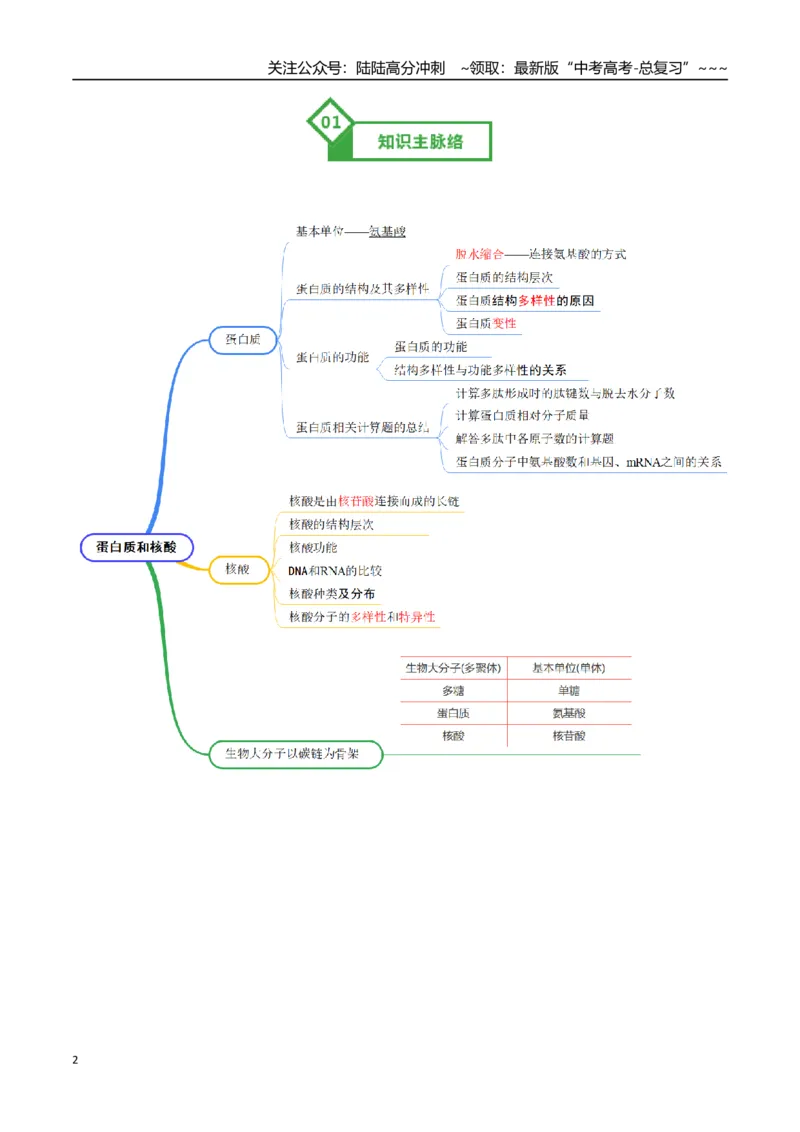 《第04讲蛋白质和核酸（知识清单）（全国通用）（教师版）_06-生物-高考总复习_一轮复习_2026年-生物高考一轮复习_2026年高考生物一轮复习知识清单（全国通用）-G56_2026版》第2页预览