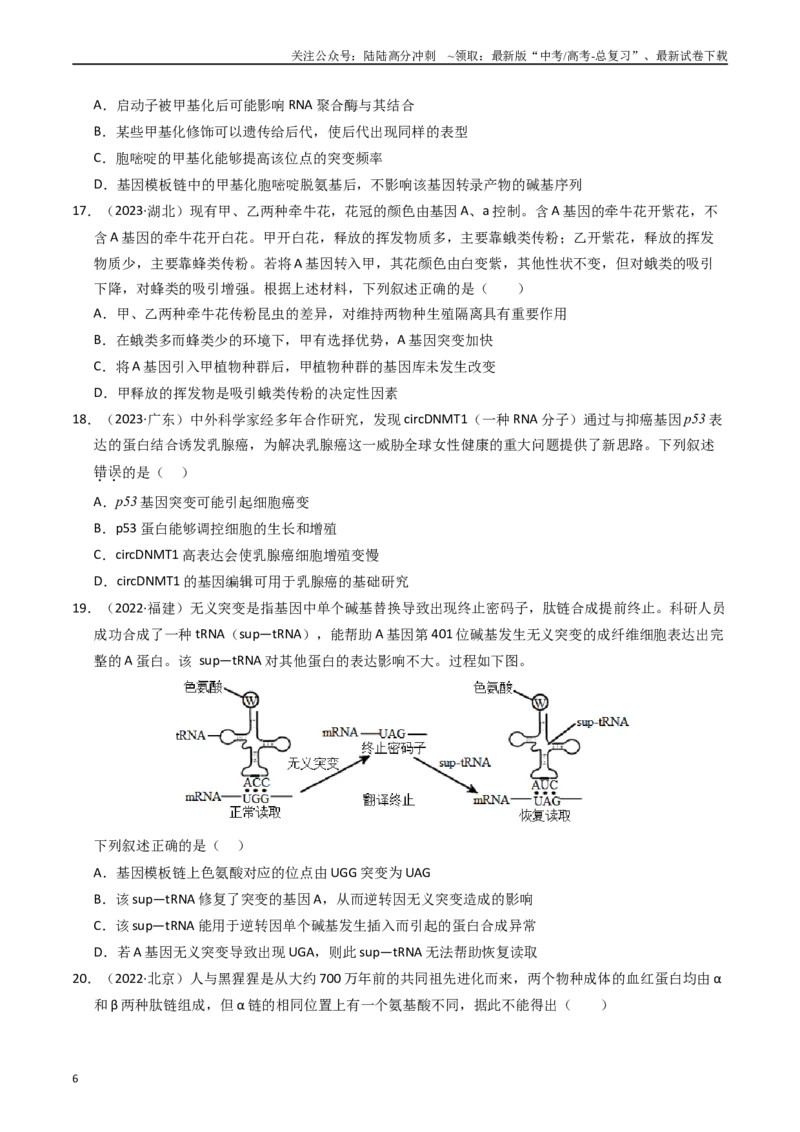 《专题08变异、育种和进化（原卷版）_06-生物-高考总复习_专项复习_2025年_五年2020-2024高考真题分类汇编生物真题分类汇编（全国通用）》第6页预览