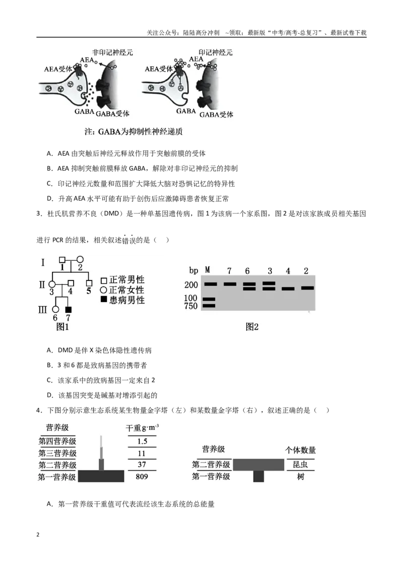 《生物（北京卷01）（考试版）_06-生物-高考总复习_专项复习_2025年_2025年高考押题预测卷（多地区）生物》第2页预览