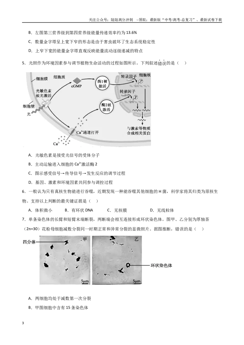 《生物（北京卷01）（考试版）_06-生物-高考总复习_专项复习_2025年_2025年高考押题预测卷（多地区）生物》第3页预览