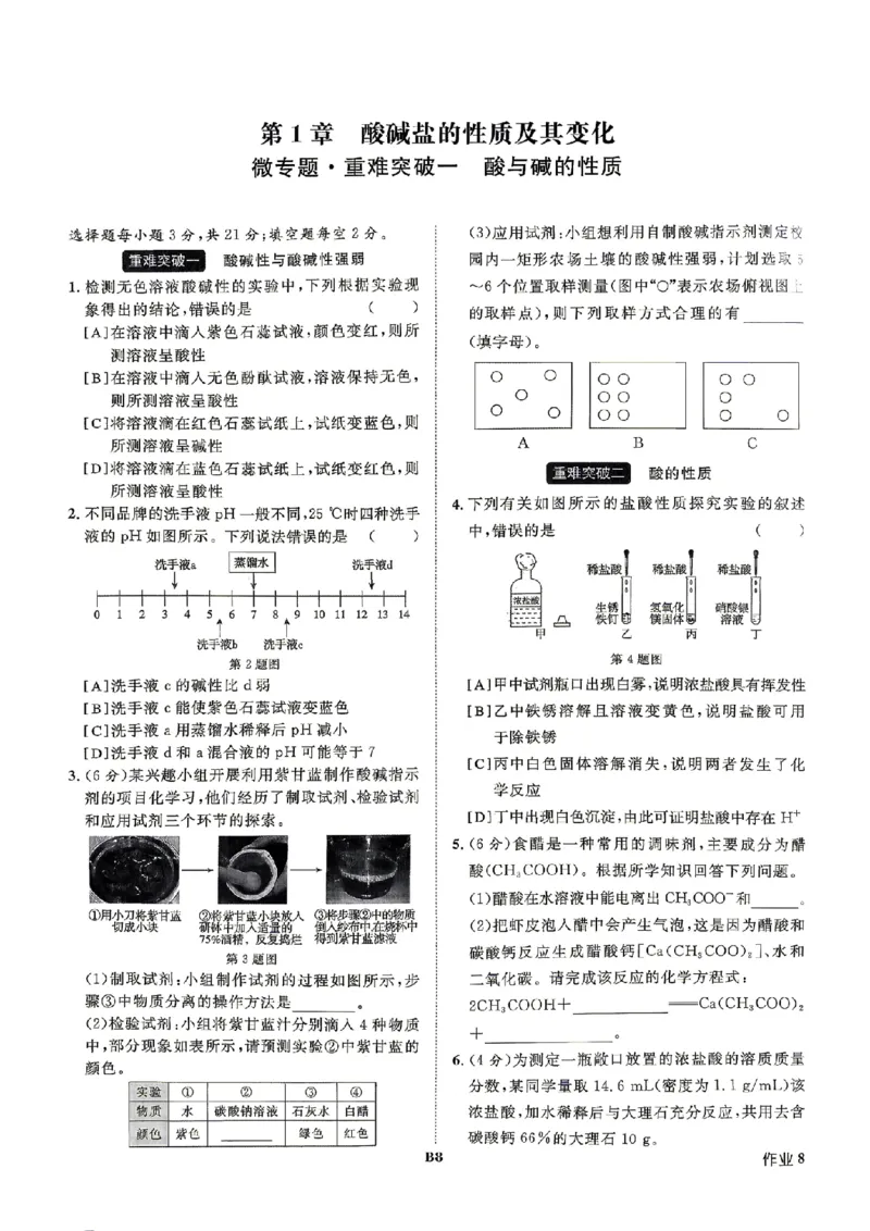 《作业B本_26秋小学初中各机构教辅大合集（一本、教材帮、阳光同学、王朝霞、实验班、小典中点、上分卷、白欧、课堂笔记等等）_26秋初中教辅资料_26秋初中《全效学习本》_579》第10页预览