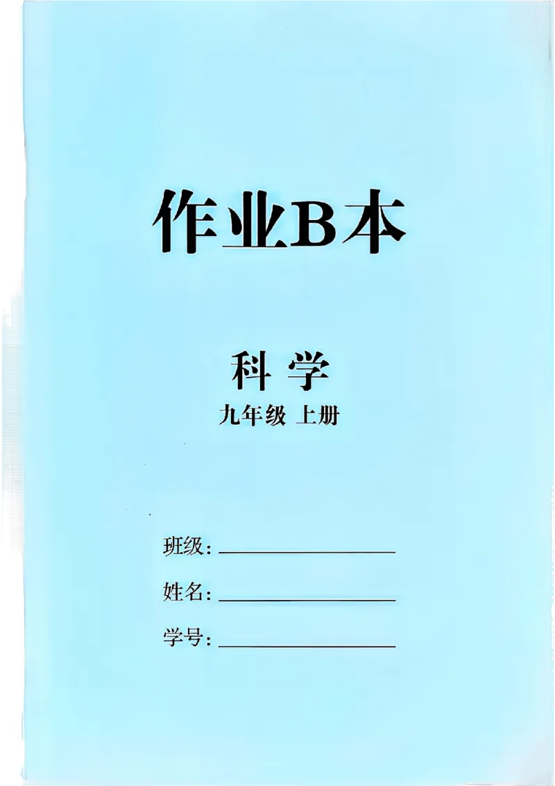 《作业B本_26秋小学初中各机构教辅大合集（一本、教材帮、阳光同学、王朝霞、实验班、小典中点、上分卷、白欧、课堂笔记等等）_26秋初中教辅资料_26秋初中《全效学习本》_579》第2页预览