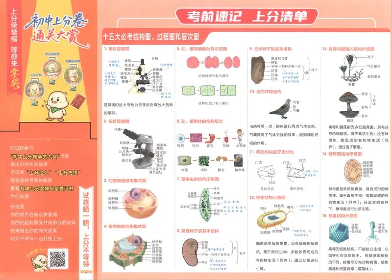 《试卷_2027版初中《必刷题上分卷》7年级上册（生物）（人教）》第5页预览