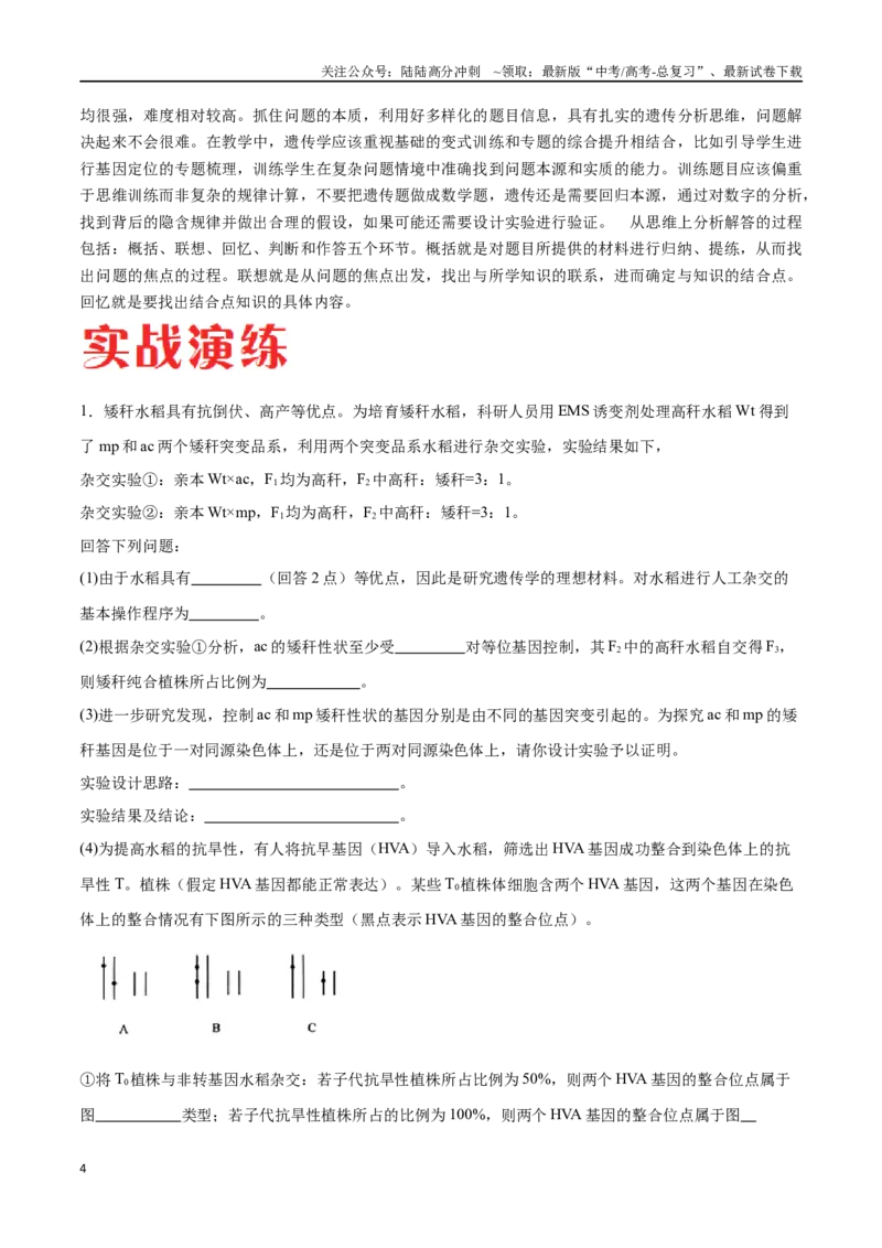《专题02遗传与进化模块（山东卷）（原卷版）_06-生物-高考总复习_专项复习_2024年_2024年高考生物考前大题秒杀技巧及专项训练_资料》第4页预览
