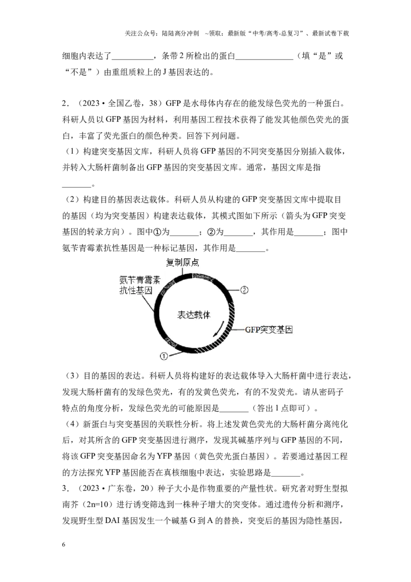 《专题07现代生物技术（原卷版）_06-生物-高考总复习_专项复习_2024年_2024年高考生物真题分析高频考点归纳训练典例真题_资料》第6页预览