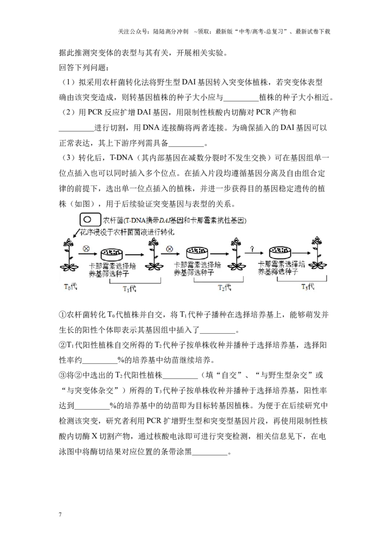 《专题07现代生物技术（原卷版）_06-生物-高考总复习_专项复习_2024年_2024年高考生物真题分析高频考点归纳训练典例真题_资料》第7页预览