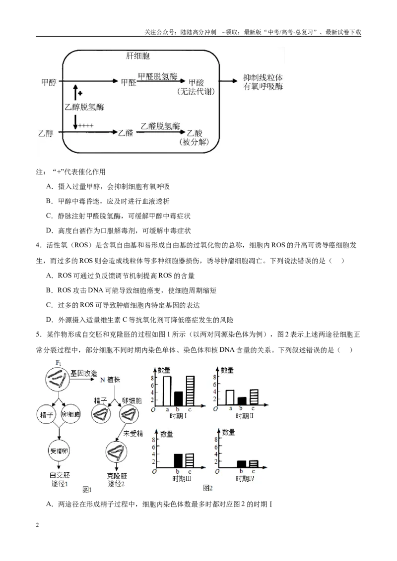 《模拟卷06（新高考八省专用）（考试版）_06-生物-高考总复习_一轮复习_2025年_2025年高考生物模拟卷（新高考八省专用）8套》第2页预览