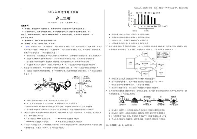 《生物（全国卷01）（考试版A3）_06-生物-高考总复习_专项复习_2025年_2025年高考押题预测卷（多地区）生物》第1页预览