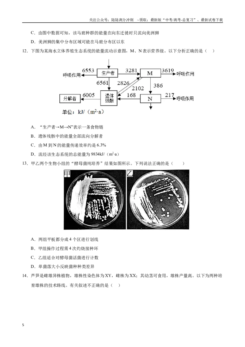 《生物（北京卷）（考试版）_06-生物-高考总复习_一轮复习_2025年_2025年高考生物第一次模拟卷24套》第5页预览