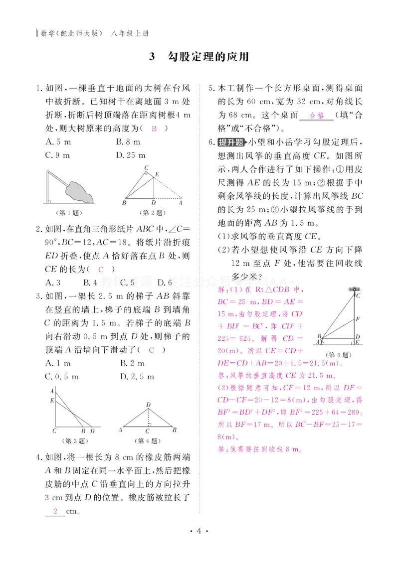 《2027《初中同步智慧作业本》数学8上(BSD)教用_2027版初中《同步智慧作业本》8年级上册（语数外）（人教）》第4页预览