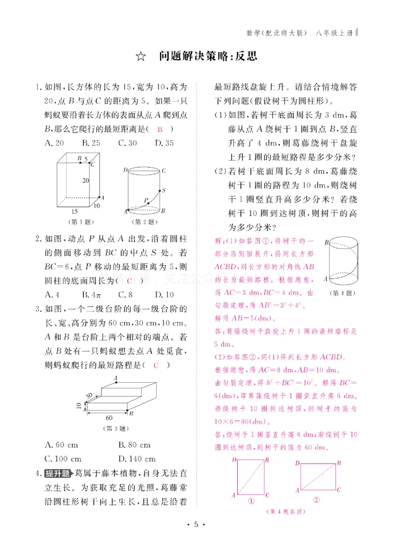 《2027《初中同步智慧作业本》数学8上(BSD)教用_2027版初中《同步智慧作业本》8年级上册（语数外）（人教）》第5页预览