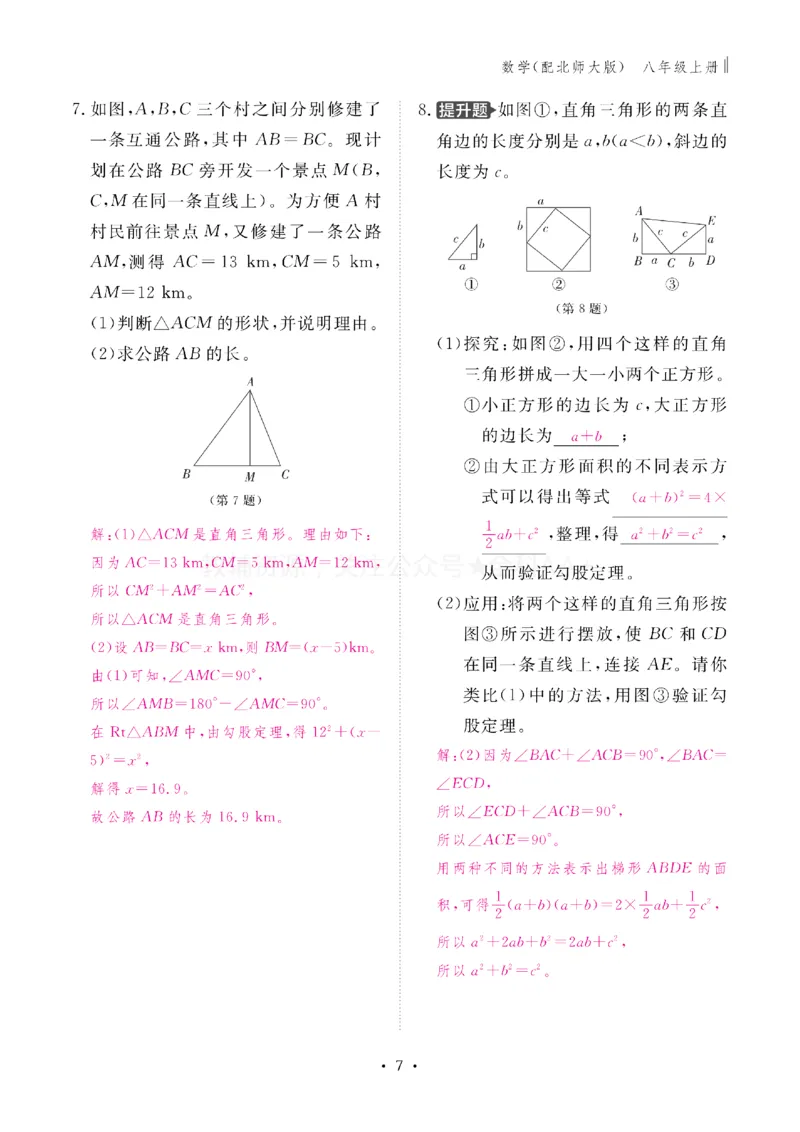 《2027《初中同步智慧作业本》数学8上(BSD)教用_2027版初中《同步智慧作业本》8年级上册（语数外）（人教）》第7页预览