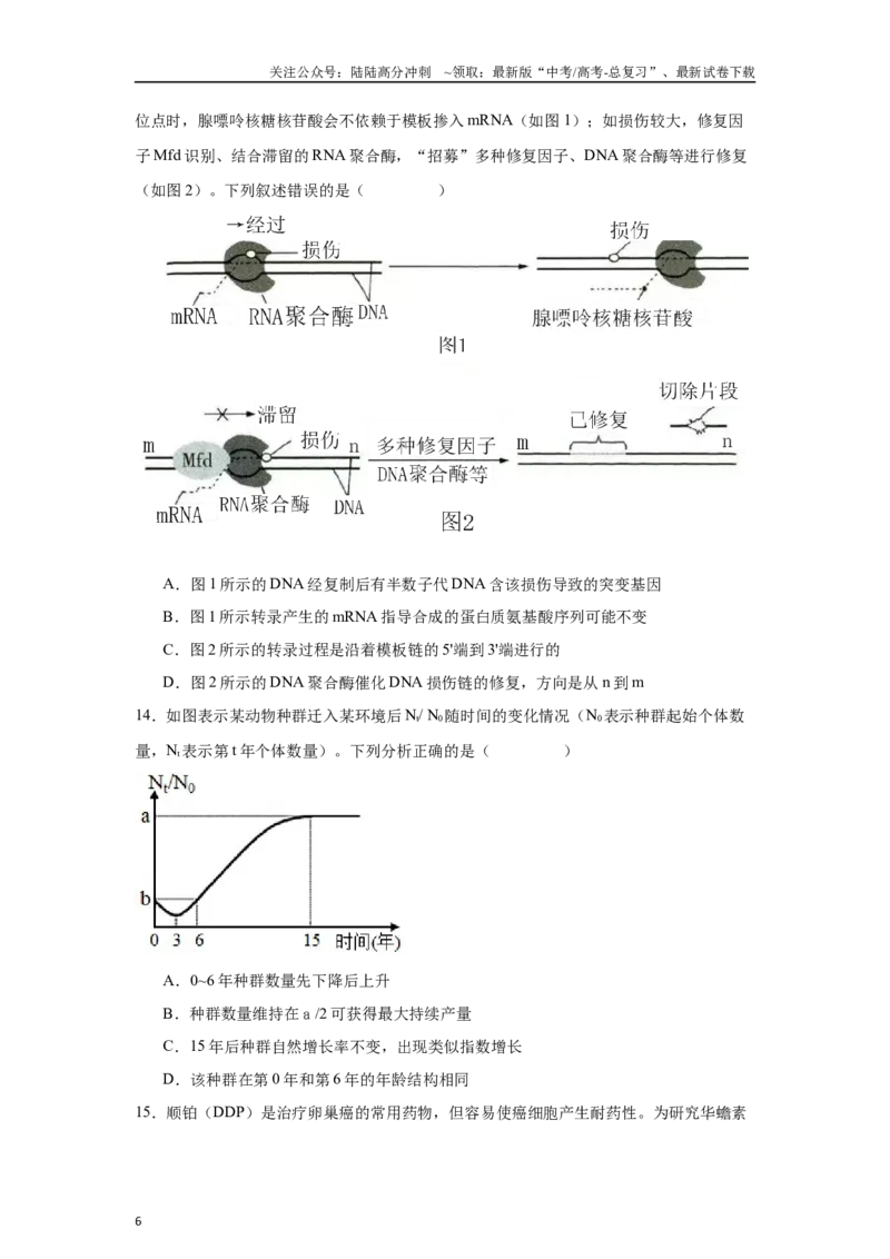 《生物（山东卷01）（考试版）_06-生物-高考总复习_专项复习_2025年_2025年高考押题预测卷（多地区）生物》第6页预览