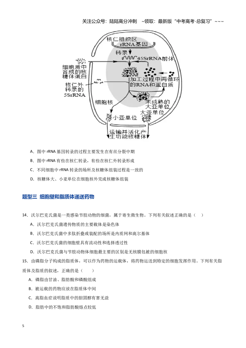 《第05讲细胞膜和细胞核（专项训练）（湖南专用）（学生版）_06-生物-高考总复习_一轮复习_2026年-生物高考一轮复习_2026年高考生物一轮课件+讲义+练习（湖南专用）-G331》第5页预览