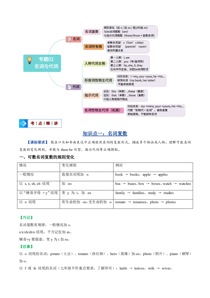 《人教2026《暑假复习讲义》专题02名词与代词（暑假复习讲义）（解析版）_26秋初中教辅资料_26秋初中《暑假预习》_2026秋《暑假复习讲义》7上英语》第3页预览