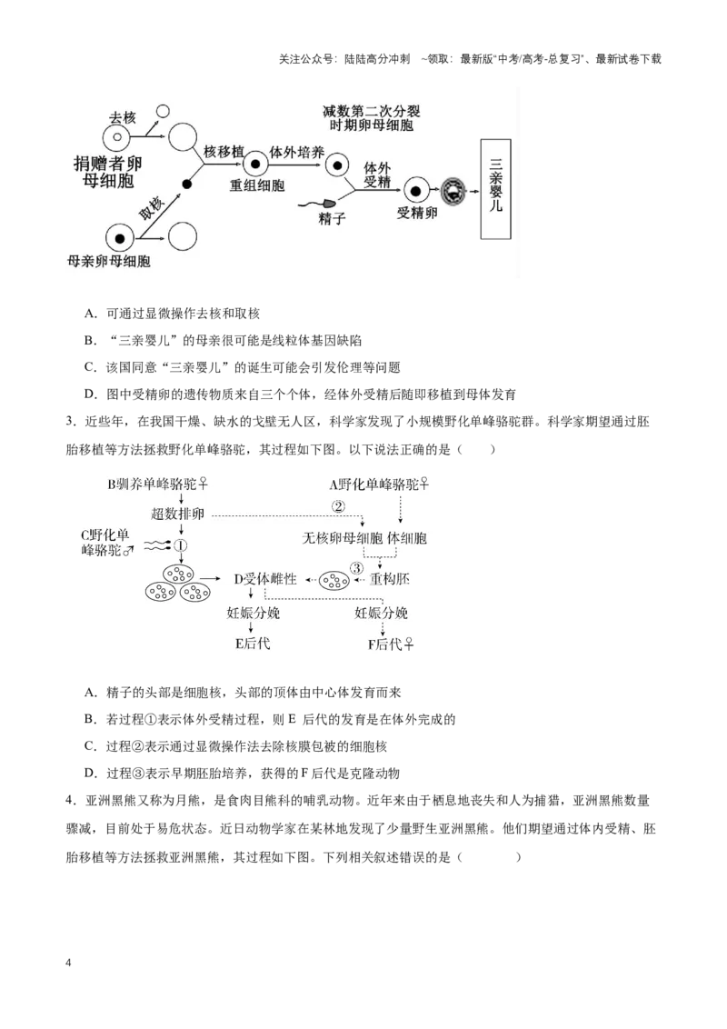 《热点02线粒体置换技术——“三亲婴儿”-（原卷版）_06-生物-高考总复习_专项复习_2024年_2024年高考生物热点情境解读与知识链接8份_资料_1-资料》第4页预览