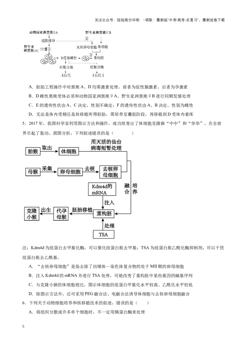 《热点02线粒体置换技术——“三亲婴儿”-（原卷版）_06-生物-高考总复习_专项复习_2024年_2024年高考生物热点情境解读与知识链接8份_资料_1-资料》第5页预览