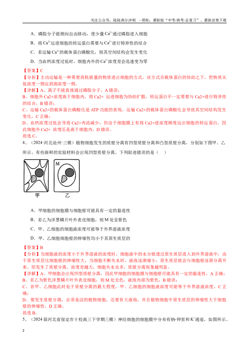 《专题03物质运输、酶和ATP（解析版）_06-生物-高考总复习_专项复习_2025年_2024年高考三模试题分类汇编生物2新高考通用》第2页预览