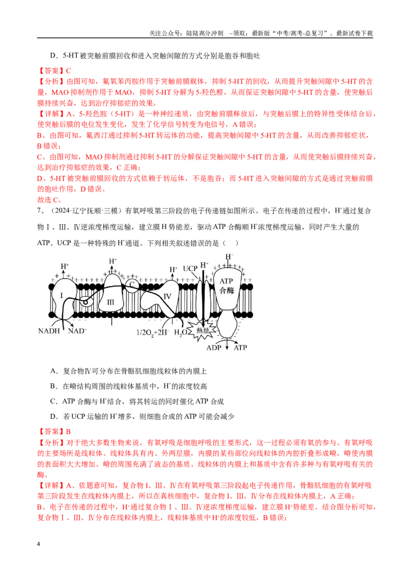 《专题03物质运输、酶和ATP（解析版）_06-生物-高考总复习_专项复习_2025年_2024年高考三模试题分类汇编生物2新高考通用》第4页预览