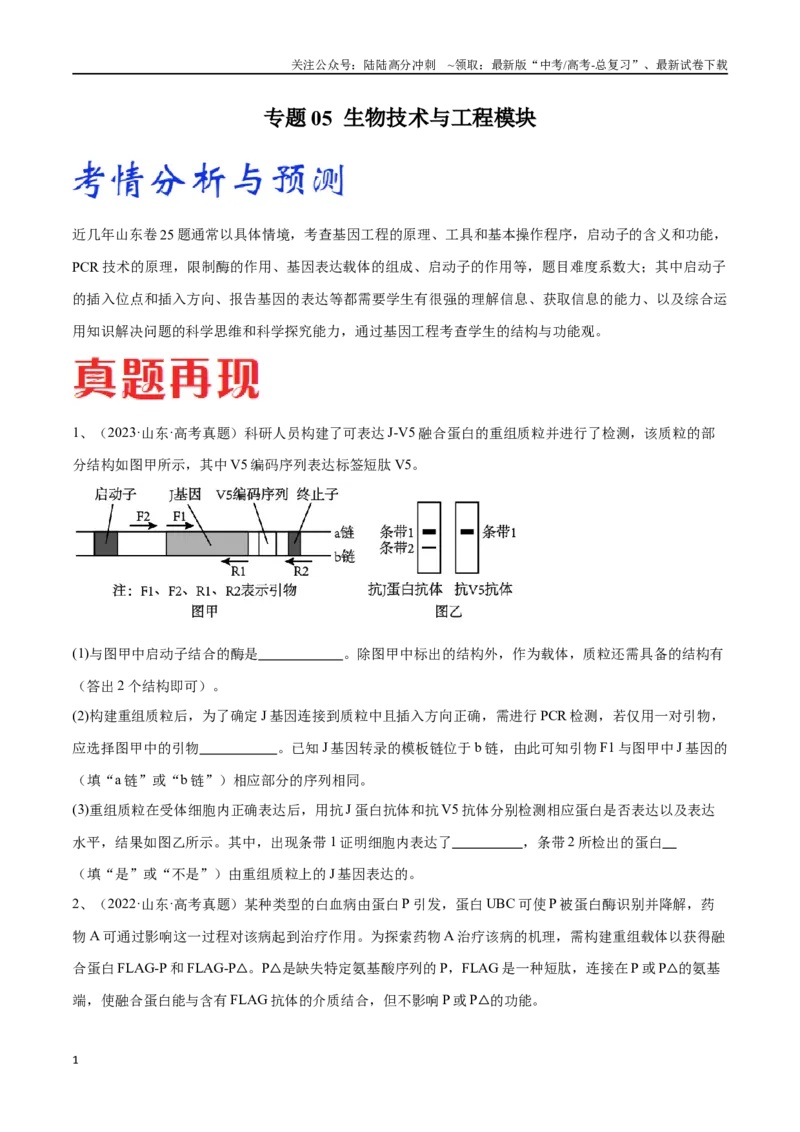 《专题05生物技术与工程模块（山东卷）（原卷版）_06-生物-高考总复习_专项复习_2024年_2024年高考生物考前大题秒杀技巧及专项训练_资料》第1页预览