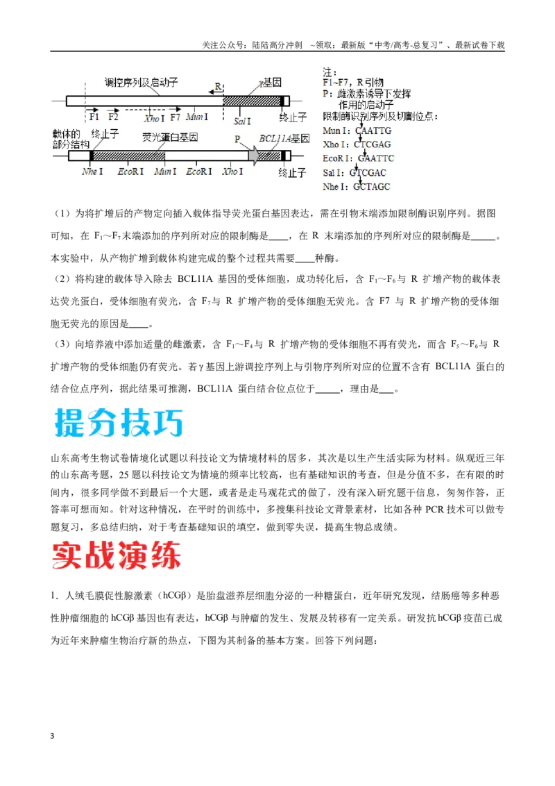 《专题05生物技术与工程模块（山东卷）（原卷版）_06-生物-高考总复习_专项复习_2024年_2024年高考生物考前大题秒杀技巧及专项训练_资料》第3页预览