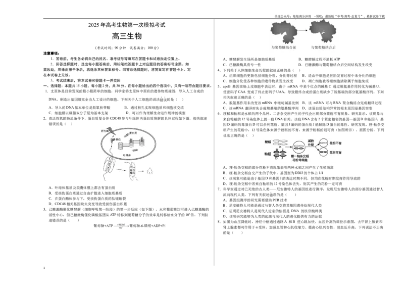 《生物（北京卷）（考试版A3）_06-生物-高考总复习_一轮复习_2025年_2025年高考生物第一次模拟卷24套》第1页预览