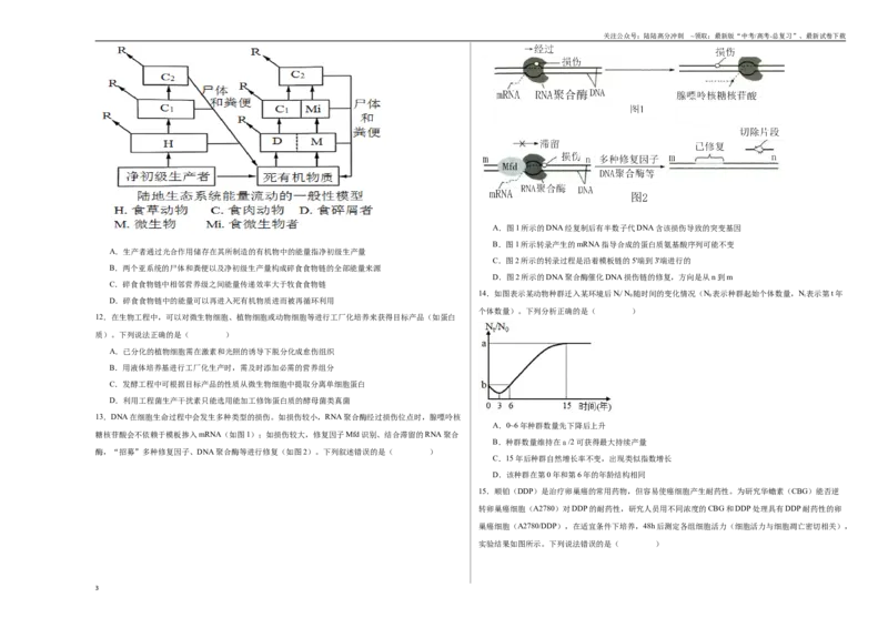 《生物（山东卷01）（考试版A3）_06-生物-高考总复习_专项复习_2025年_2025年高考押题预测卷（多地区）生物》第3页预览