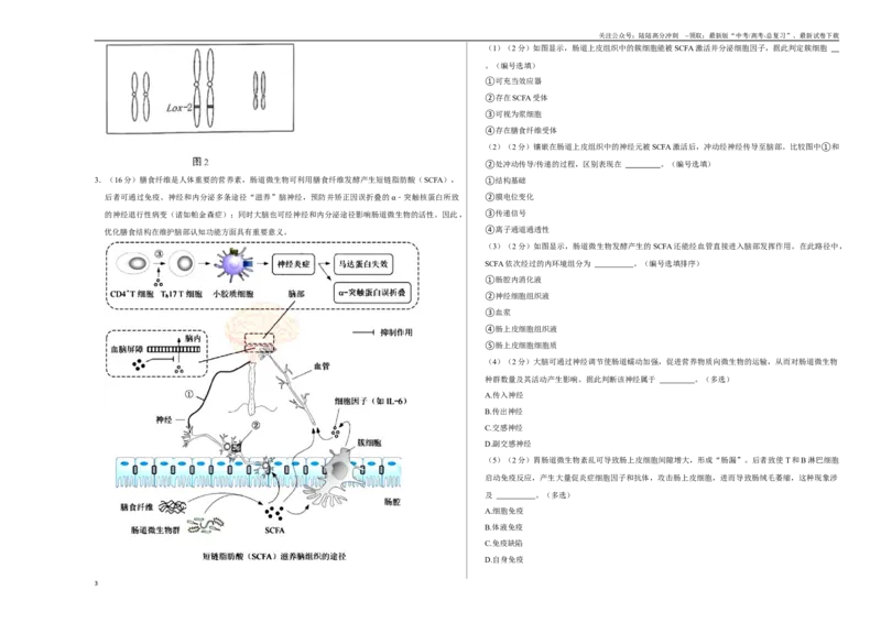 《生物（上海卷）（考试版A3）_06-生物-高考总复习_一轮复习_2025年_2025年高考生物第一次模拟卷24套》第3页预览