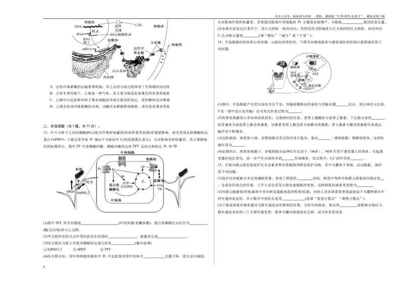 《生物（天津卷03）（考试版A3）_06-生物-高考总复习_专项复习_2025年_2025年高考押题预测卷（多地区）生物》第3页预览
