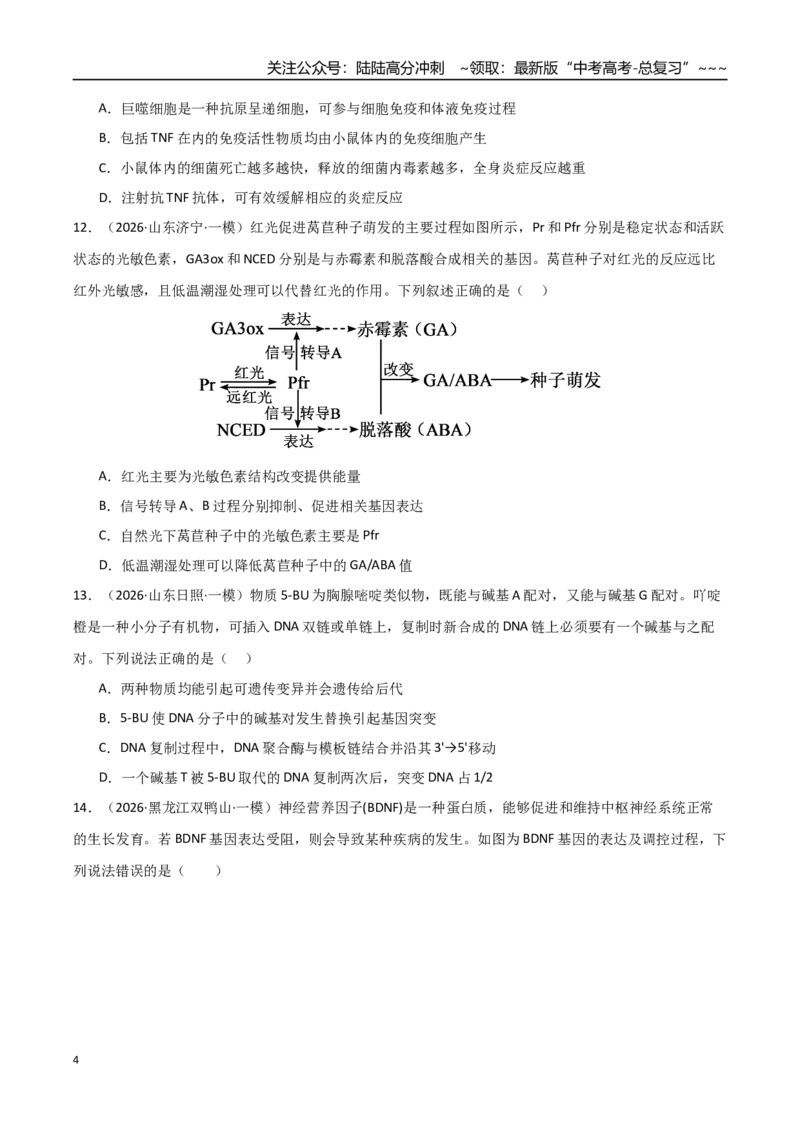 《猜押08单项选择必刷60题（学生版）_06-生物-高考总复习_专项复习_2026年-生物高考专项复习_2026年高考生物终极冲刺讲练测（黑吉辽蒙专用）-G466_2026版》第4页预览