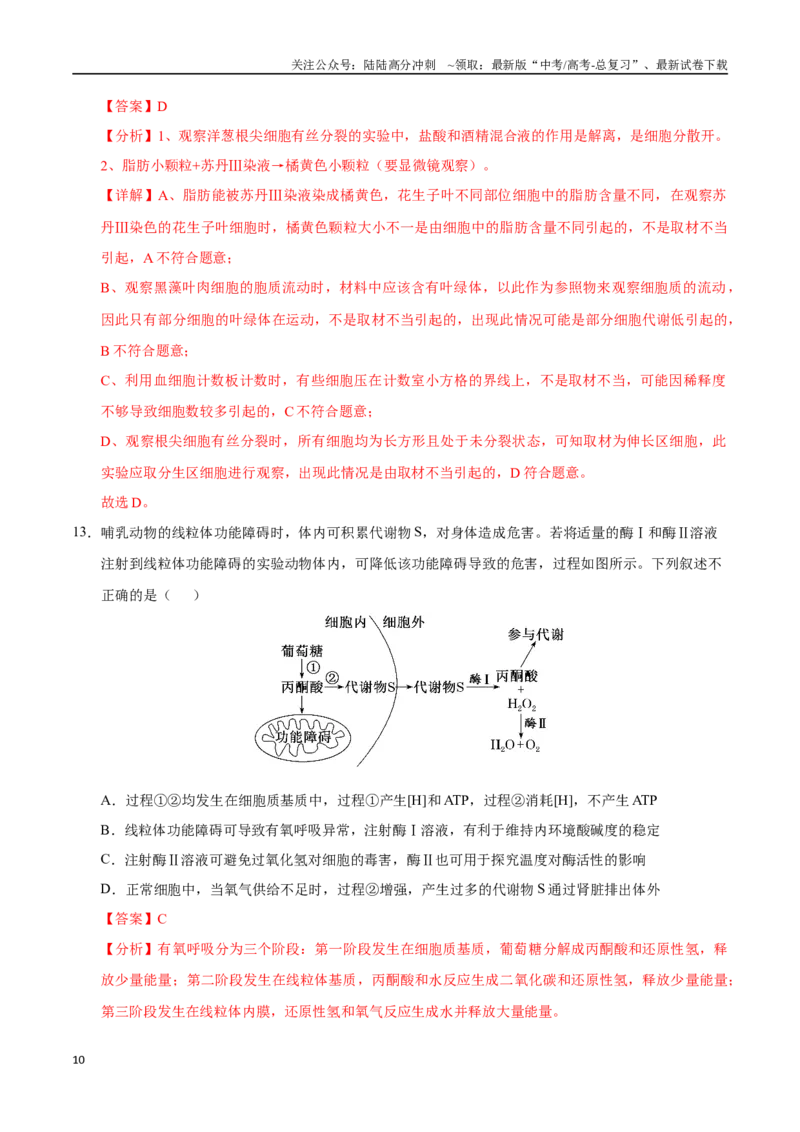 《生物（广东卷01）（全解全析）_06-生物-高考总复习_专项复习_2025年_2025年高考第一二三次模拟卷（多地区）生物_2025年高考生物第一次模拟卷24套》第10页预览