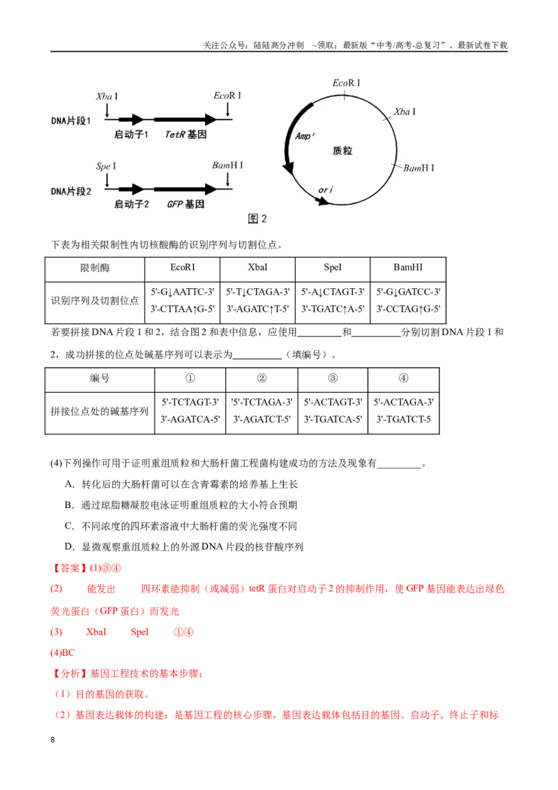 《专题05生物技术与工程模块（东北三省通用）（原卷版）_06-生物-高考总复习_专项复习_2024年_2024年高考生物考前大题秒杀技巧及专项训练_资料》第8页预览