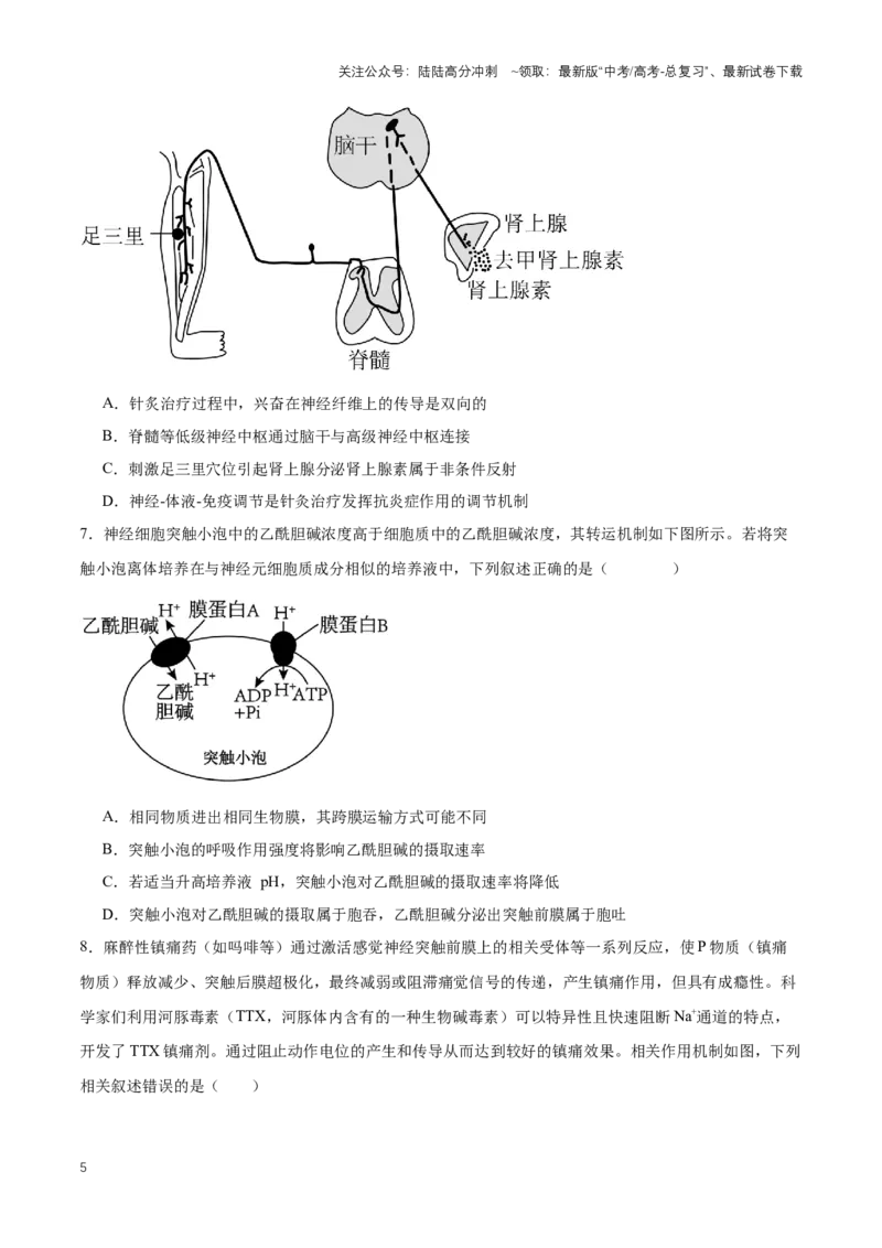 《热点07施一公最新研究：手机辐射影响发育-（原卷版）_06-生物-高考总复习_专项复习_2024年_2024年高考生物热点情境解读与知识链接8份_资料_1-资料》第5页预览