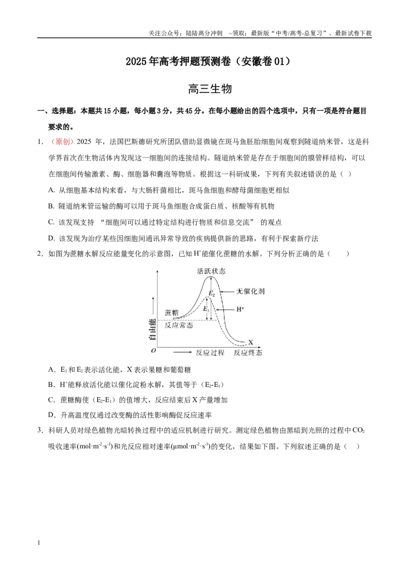 《生物（安徽卷01）（考试版）_06-生物-高考总复习_专项复习_2025年_2025年高考押题预测卷（多地区）生物》第1页预览