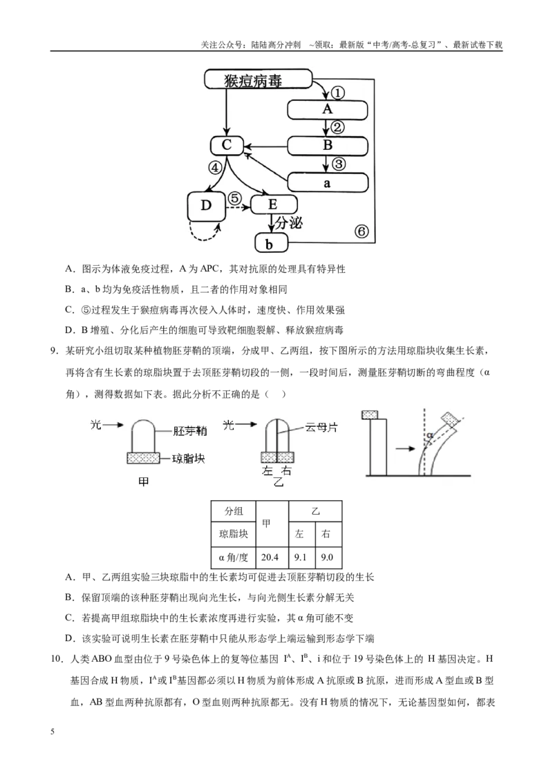 《生物（安徽卷01）（考试版）_06-生物-高考总复习_专项复习_2025年_2025年高考押题预测卷（多地区）生物》第5页预览