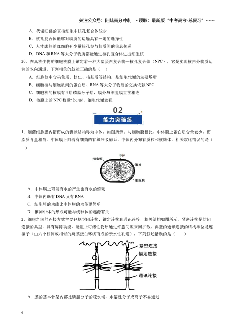 《第05讲细胞膜和细胞核（专项训练）（四川专用）（学生版）_06-生物-高考总复习_一轮复习_2026年-生物高考一轮复习_2026年高考生物一轮课件+讲义+练习（四川专用）-G335》第6页预览