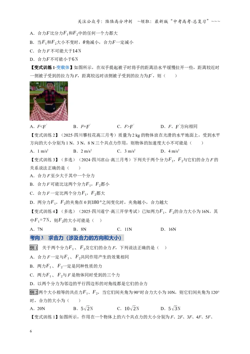 《第06讲力的合成与分解（复习讲义）（四川专用）（学生版）_04-物理-高考总复习_一轮复习_2026年-物理高考一轮复习_2026年高考物理一轮课件+讲义+练习（四川专用）-G335》第6页预览