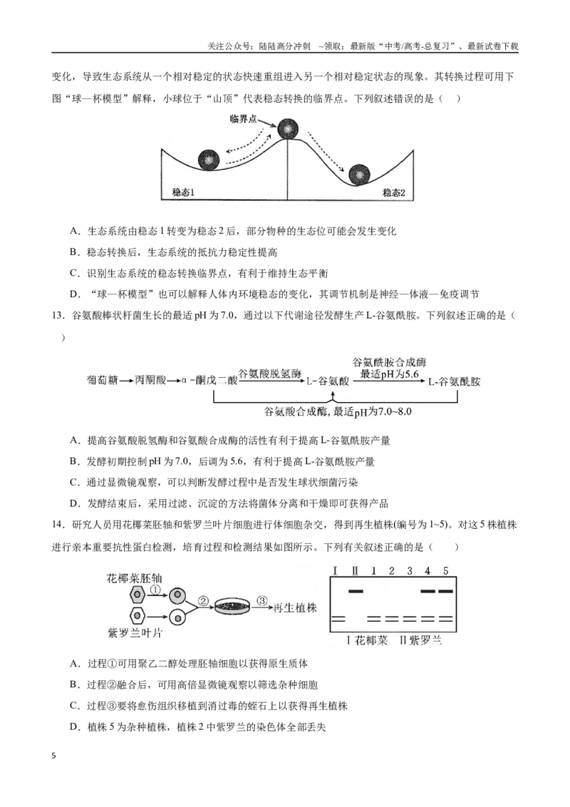 《生物（广东卷01）（考试版）_06-生物-高考总复习_专项复习_2025年_2025年高考第一二三次模拟卷（多地区）生物_2025年高考生物第二次模拟卷26套_生物（广东卷01）》第5页预览