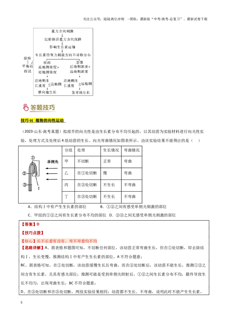 《专题08植物生命活动的调节（教师版）_06-生物-高考总复习_专项复习_2025年_2025年高考生物答题技巧与答题模板（全国通用）》第5页预览