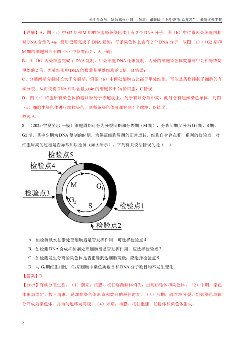 《猜押03细胞的生命历程（教师版）_06-生物-高考总复习_专项复习_2025年_2025年高考生物抢押秘籍（陕西、山西、宁夏、青海专用）》第7页预览