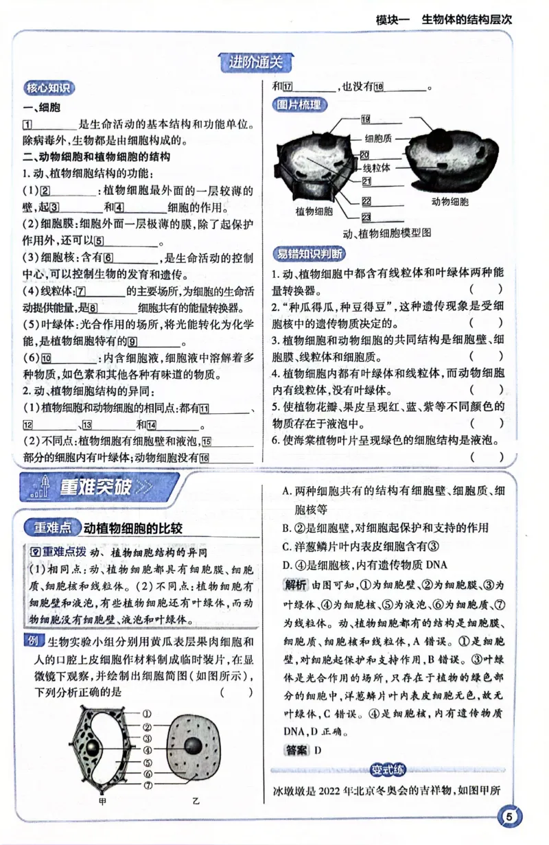 《生物狂K重点_2、2025初中必刷题合集_初中必刷题23+24+25上册_24初中必刷题上册+下册全_可信网络等多个文件_历年必刷题和24上册_2024版_中考总复习必刷题合订本_中考必刷题生物》第9页预览