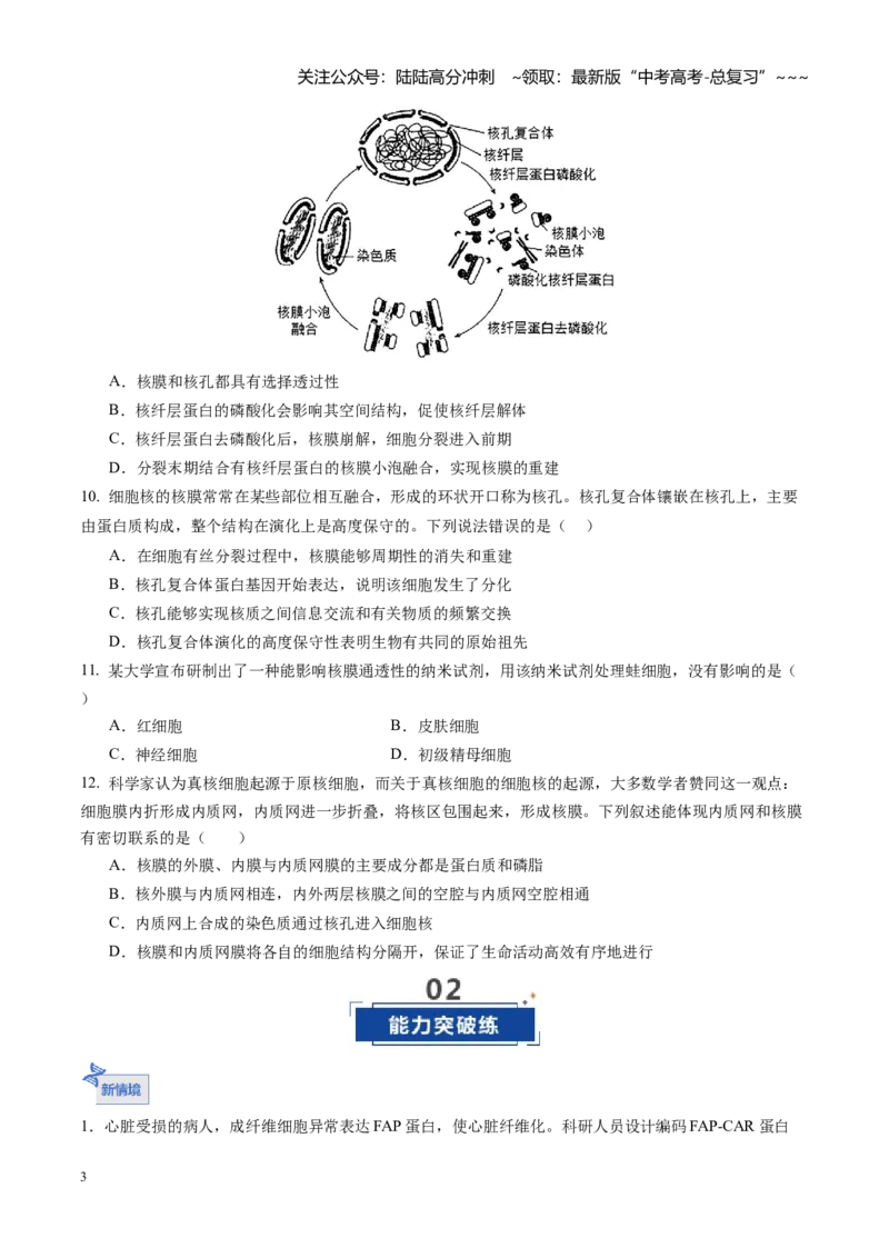 《第05讲细胞膜和细胞核（专项训练）（福建专用）（学生版）_06-生物-高考总复习_一轮复习_2026年-生物高考一轮复习_2026年高考生物一轮课件+讲义+练习（福建专用）-G328》第3页预览