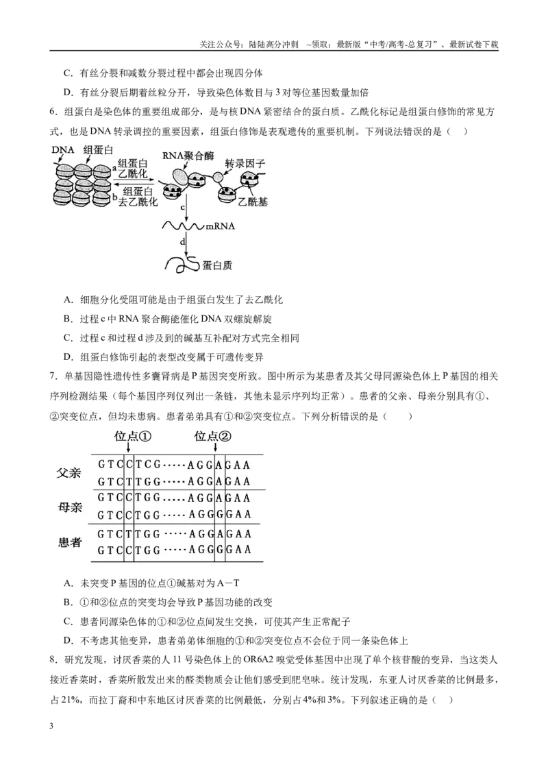 《模拟卷05（安徽专用）（考试版）_06-生物-高考总复习_专项复习_2025年_2025年高考生物模拟卷（安徽专用）8套》第3页预览
