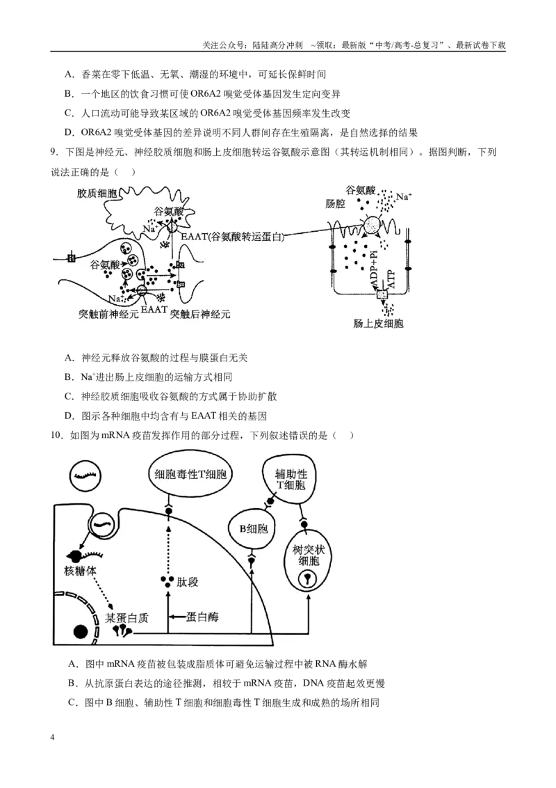 《模拟卷05（安徽专用）（考试版）_06-生物-高考总复习_专项复习_2025年_2025年高考生物模拟卷（安徽专用）8套》第4页预览